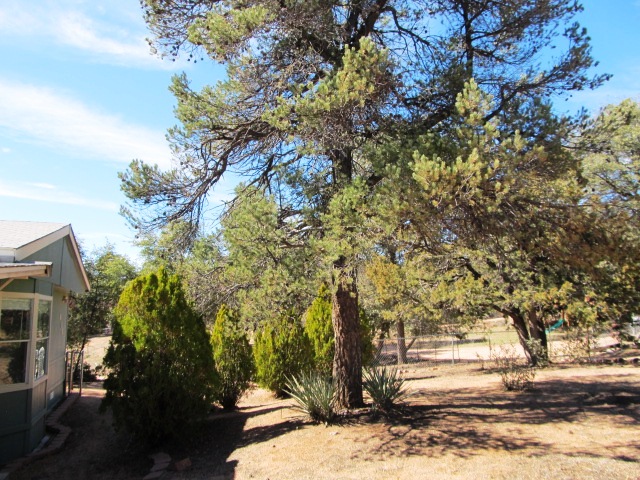 413 N Briarwood RdPayson, AZ, 85541Gila County