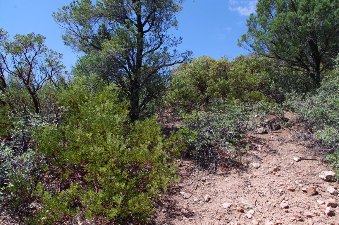 1904 E Horizon Circle, Payson, AZ 85541