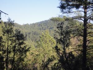 Lot 25 Blackfoot, Payson, AZ 85541