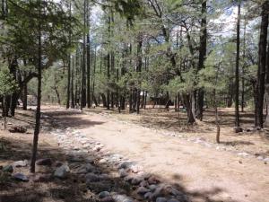 Lot 25 Blackfoot, Payson, AZ 85541