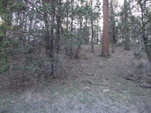 Lot 25 Blackfoot, Payson, AZ 85541