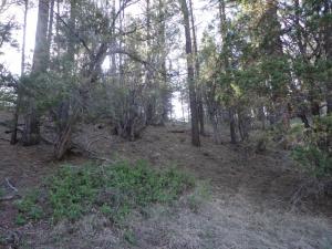 Lot 25 Blackfoot, Payson, AZ 85541
