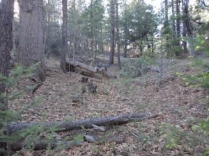 Lot 25 Blackfoot, Payson, AZ 85541