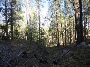 Lot 25 Blackfoot, Payson, AZ 85541