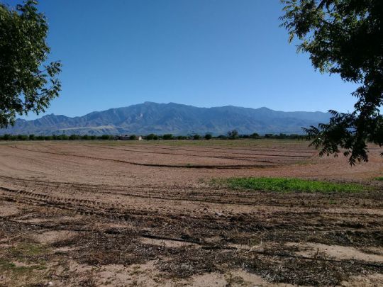 3055 N Alder Heights Dr, Pima, AZ 85543
