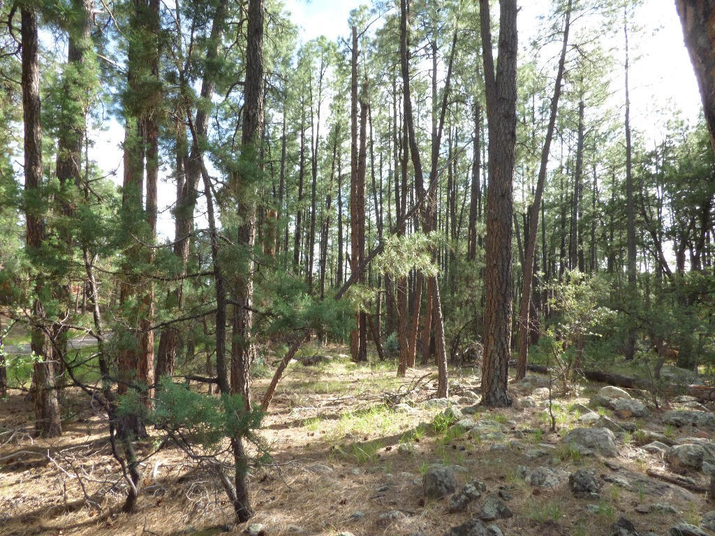 Lot 10Whispering Pines Rd, Pine, AZ 85544