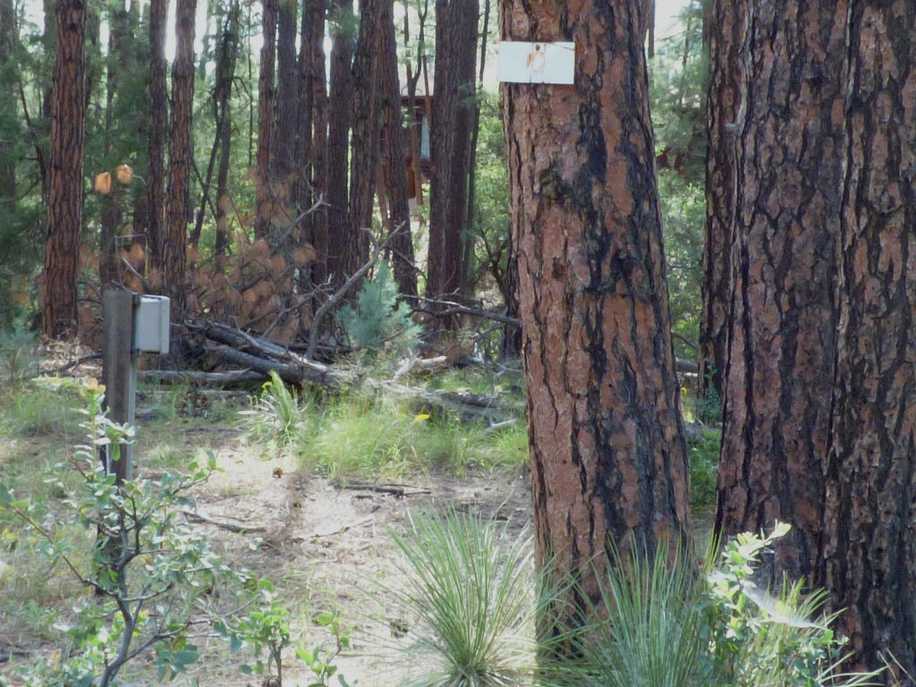 Lot 10Whispering Pines Rd, Pine, AZ 85544