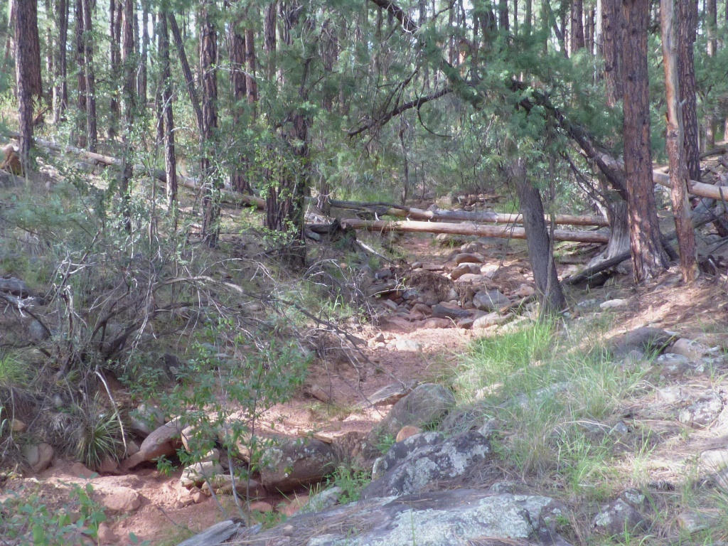 Lot 10Whispering Pines Rd, Pine, AZ 85544