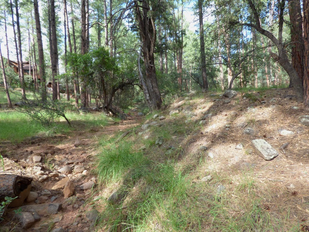 Lot 10Whispering Pines Rd, Pine, AZ 85544