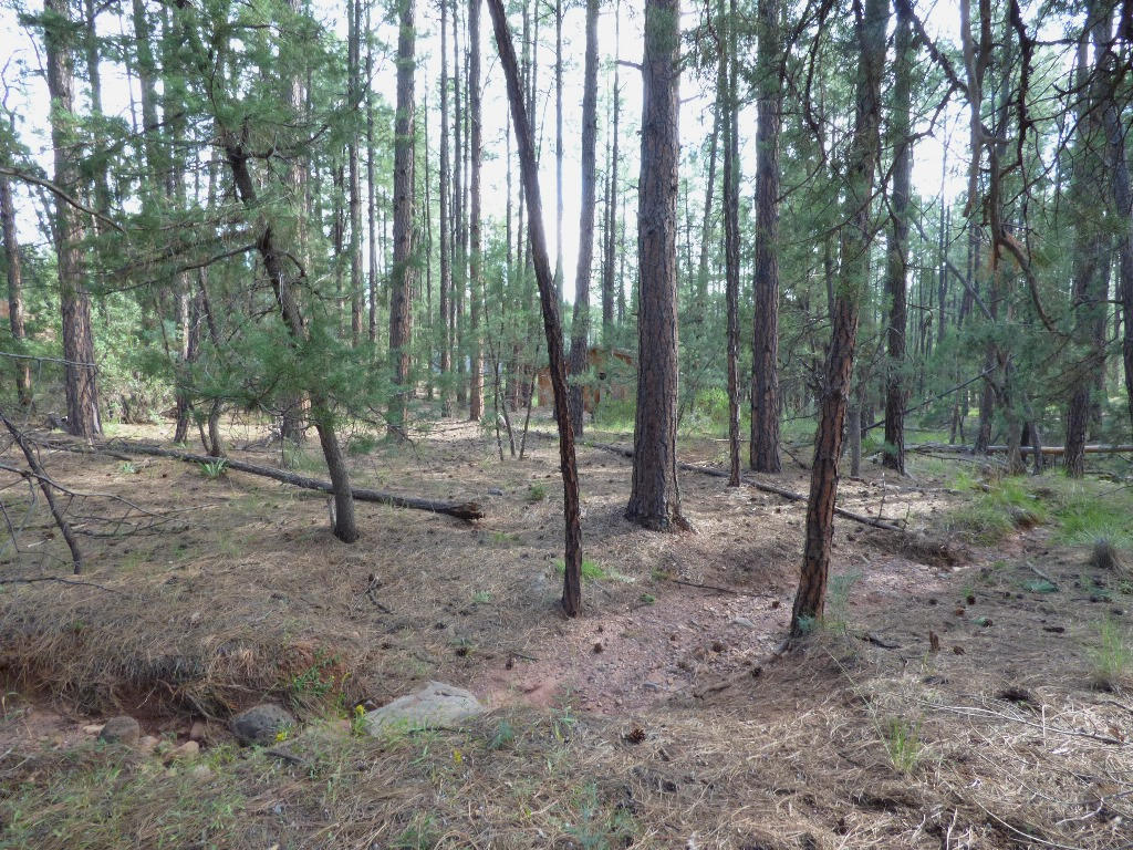 Lot 10Whispering Pines Rd, Pine, AZ 85544