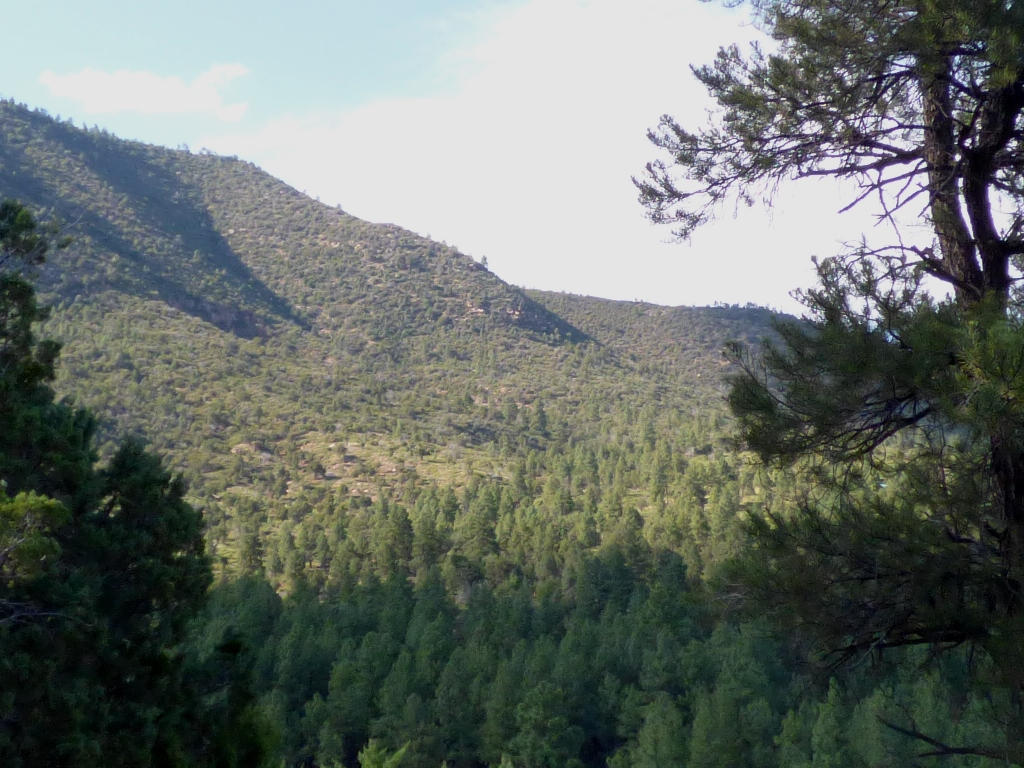Lot 31Kokopeli Ln, Pine, AZ 85544