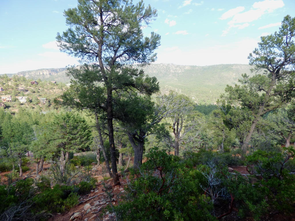 Lot 31Kokopeli Ln, Pine, AZ 85544