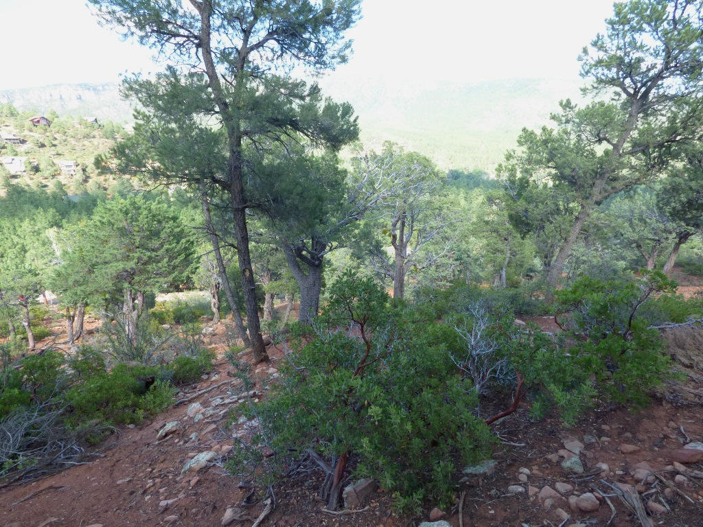 Lot 31Kokopeli Ln, Pine, AZ 85544