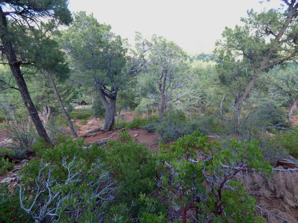 Lot 31Kokopeli Ln, Pine, AZ 85544