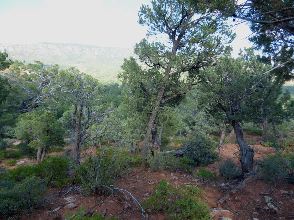 Lot 31Kokopeli Ln, Pine, AZ 85544