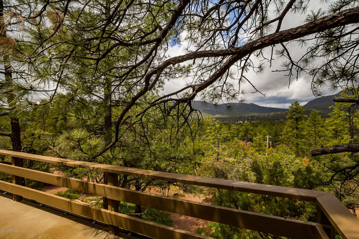 3925 ALVA Drive, Pine, AZ 85544