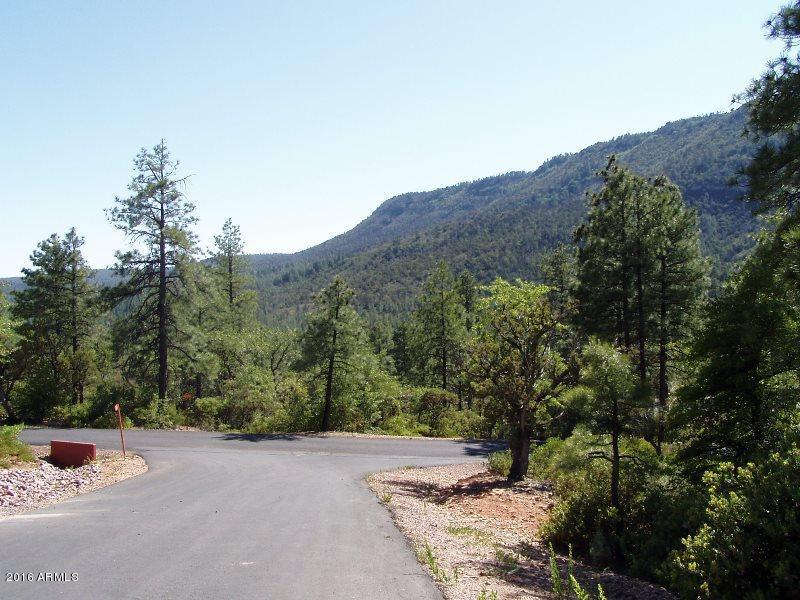 13 Drumecho Circle, Pine, AZ 85544
