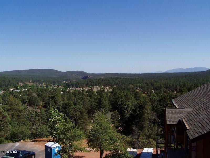 13 Drumecho Circle, Pine, AZ 85544