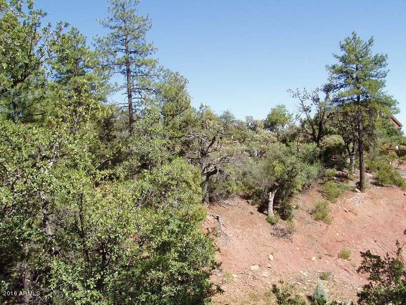 86 Kiva Circle, Pine, AZ 85544