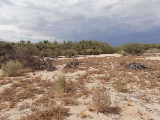 5887 S Hwy 191, Safford, AZ 85546