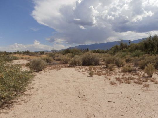 5887 S Hwy 191, Safford, AZ 85546