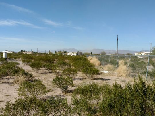 5723 S Harmon Lane, Safford, AZ 85546