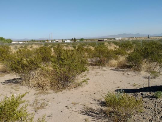 5723 S Harmon Lane, Safford, AZ 85546