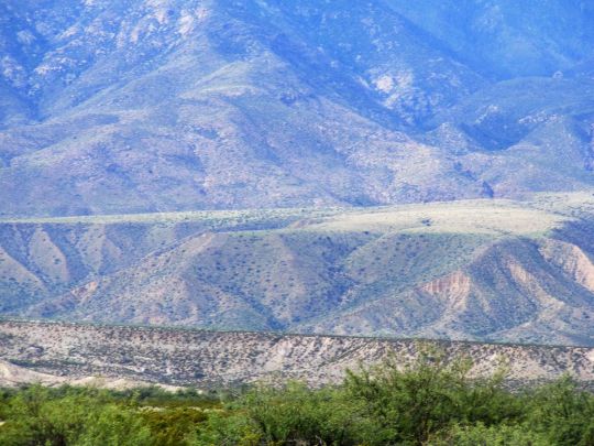 SANDY CREEK, Thatcher, AZ 85552