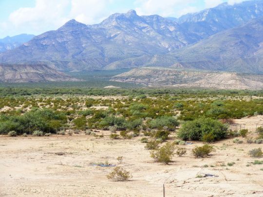 SANDY CREEK, Thatcher, AZ 85552