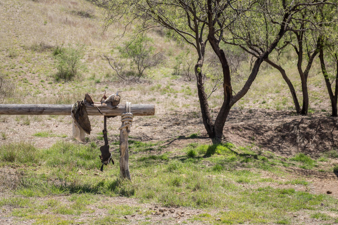 37350 S Cedar Creek, Arivaca, AZ 85601