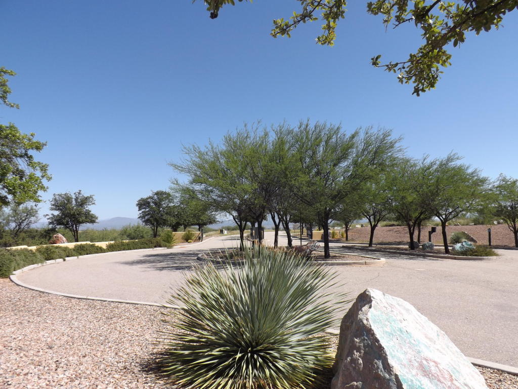 1565 S Desert Senna, Benson, AZ 85602