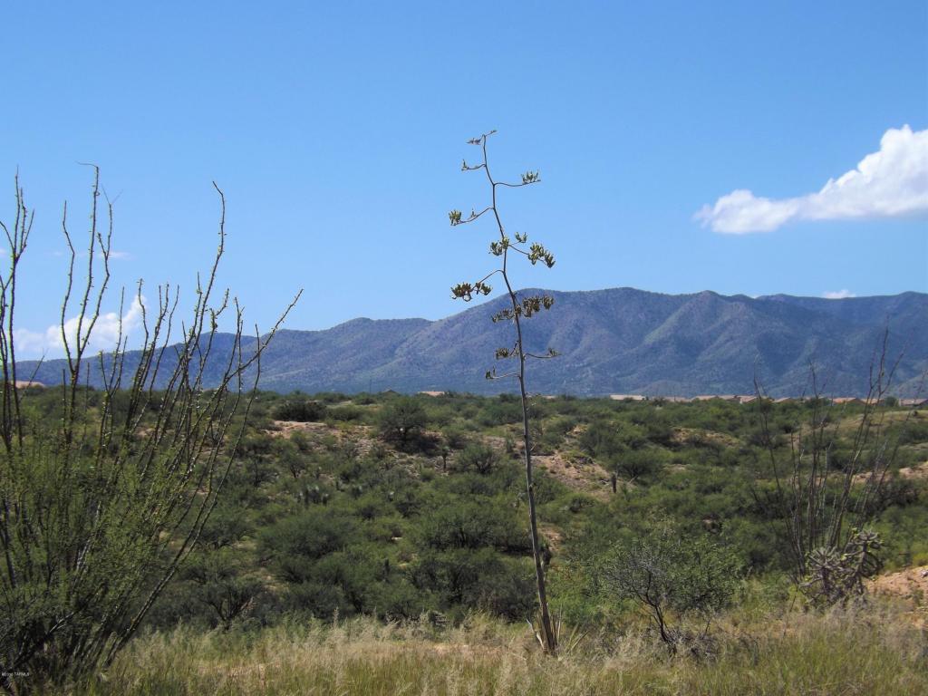 1624 S Canyon Overlook, Benson, AZ 85602