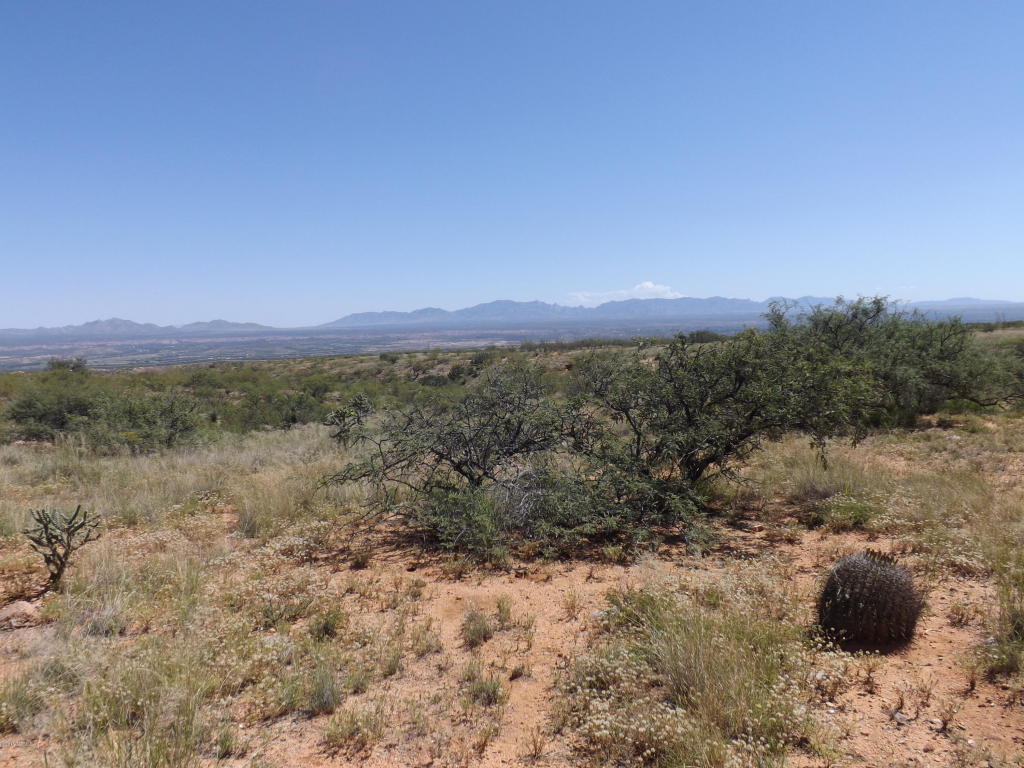 1355 S Wild Burro, Benson, AZ 85602