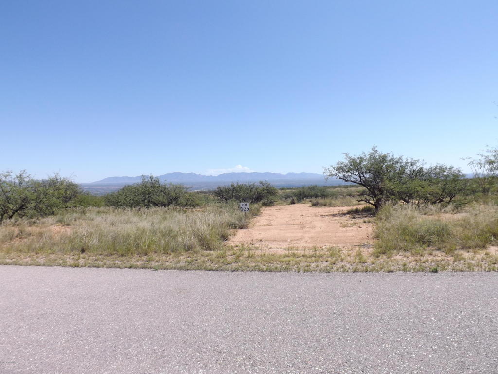1355 S Wild Burro, Benson, AZ 85602