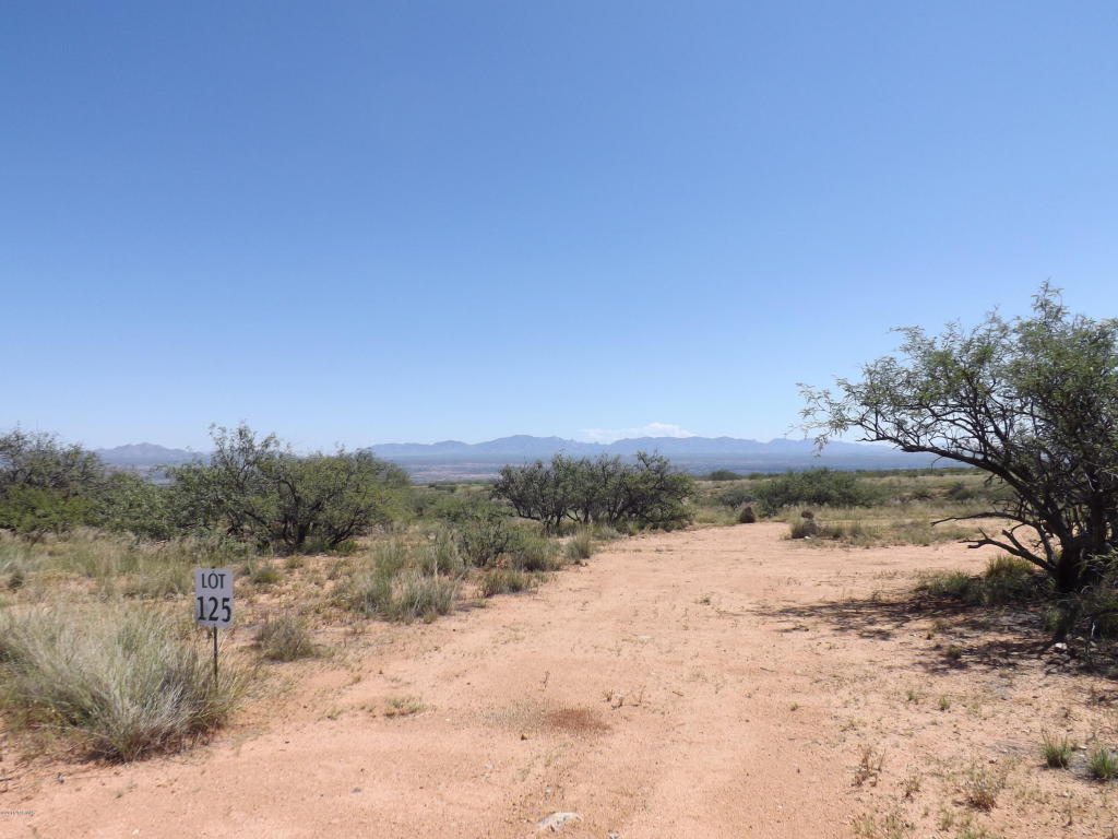 1355 S Wild Burro, Benson, AZ 85602