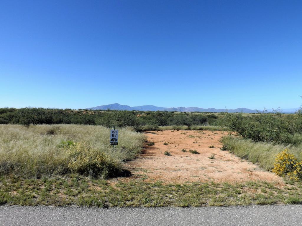 1620 S Desert Senna, Benson, AZ 85602