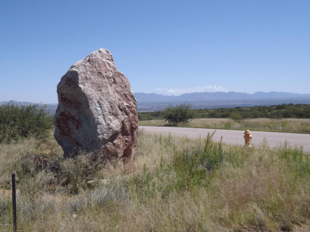1620 S Desert Senna, Benson, AZ 85602