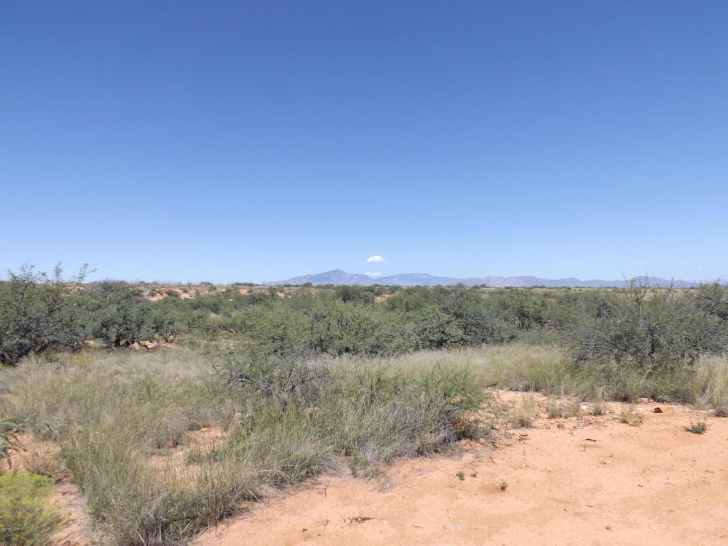 1620 S Desert Senna, Benson, AZ 85602