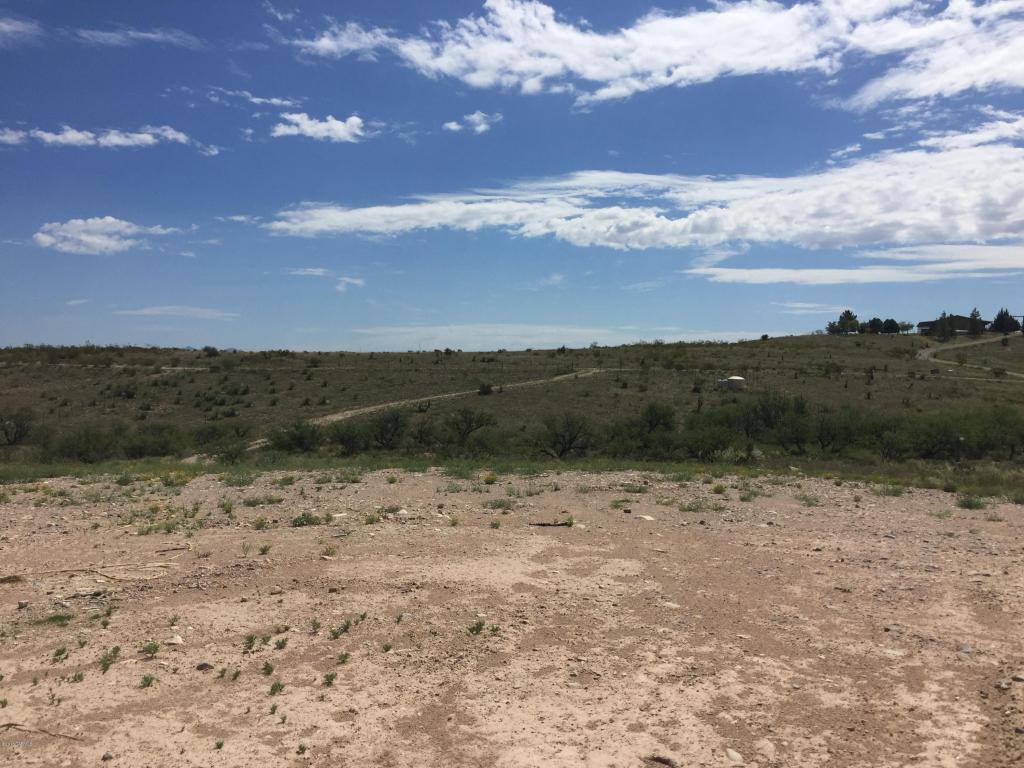 920 N Broken Saddle, Benson, AZ 85602