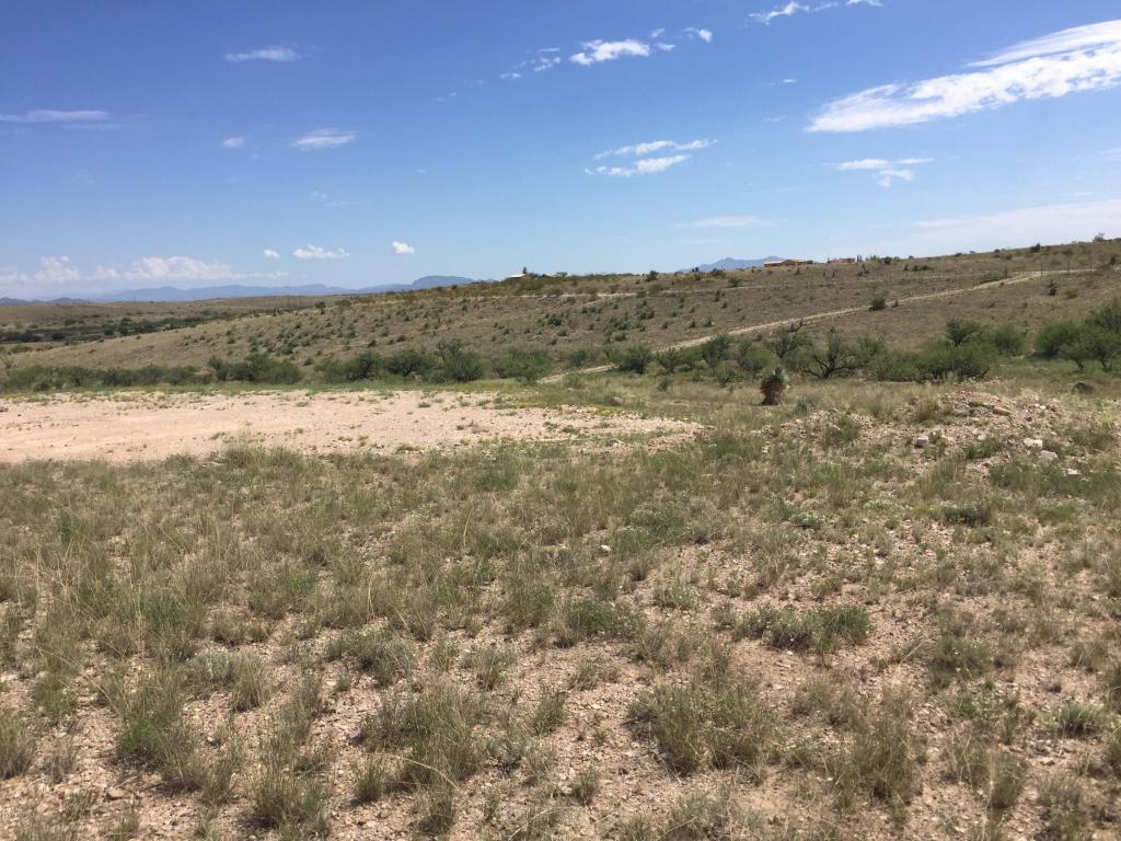 920 N Broken Saddle, Benson, AZ 85602