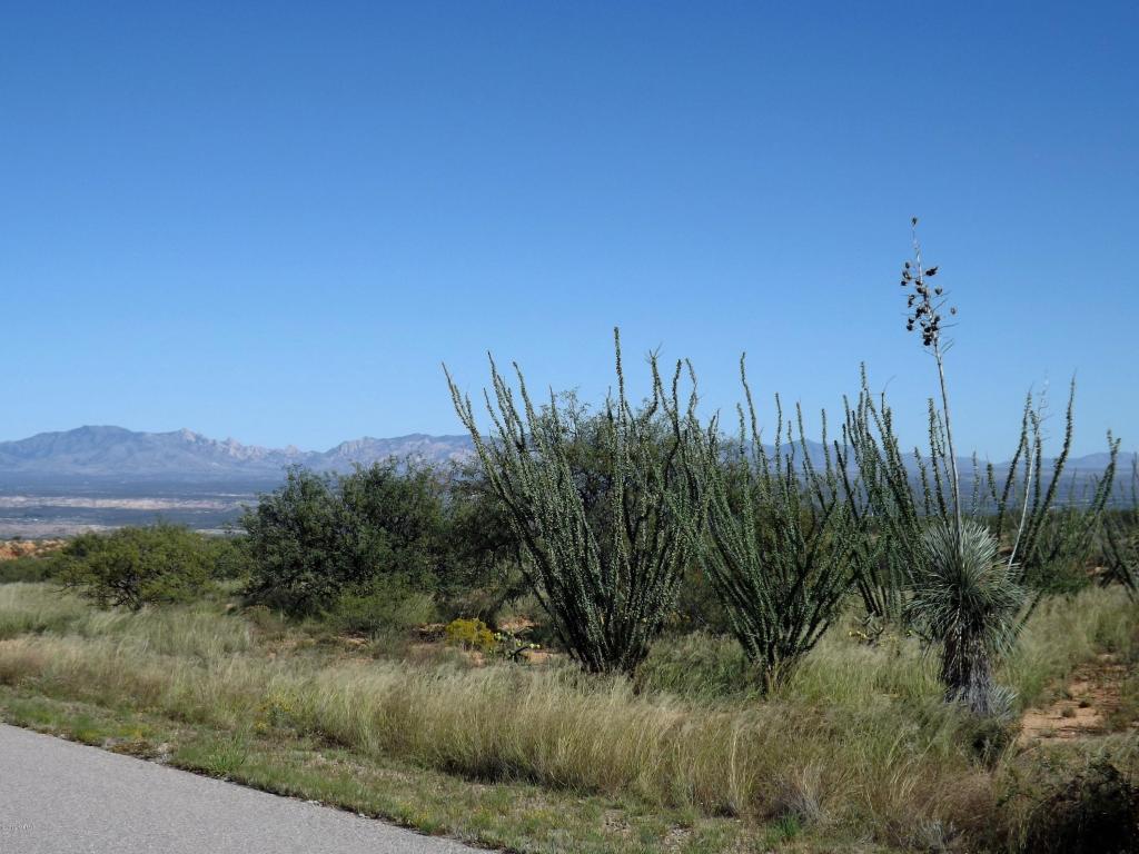 1237 W Scarlet Blossom, Benson, AZ 85602