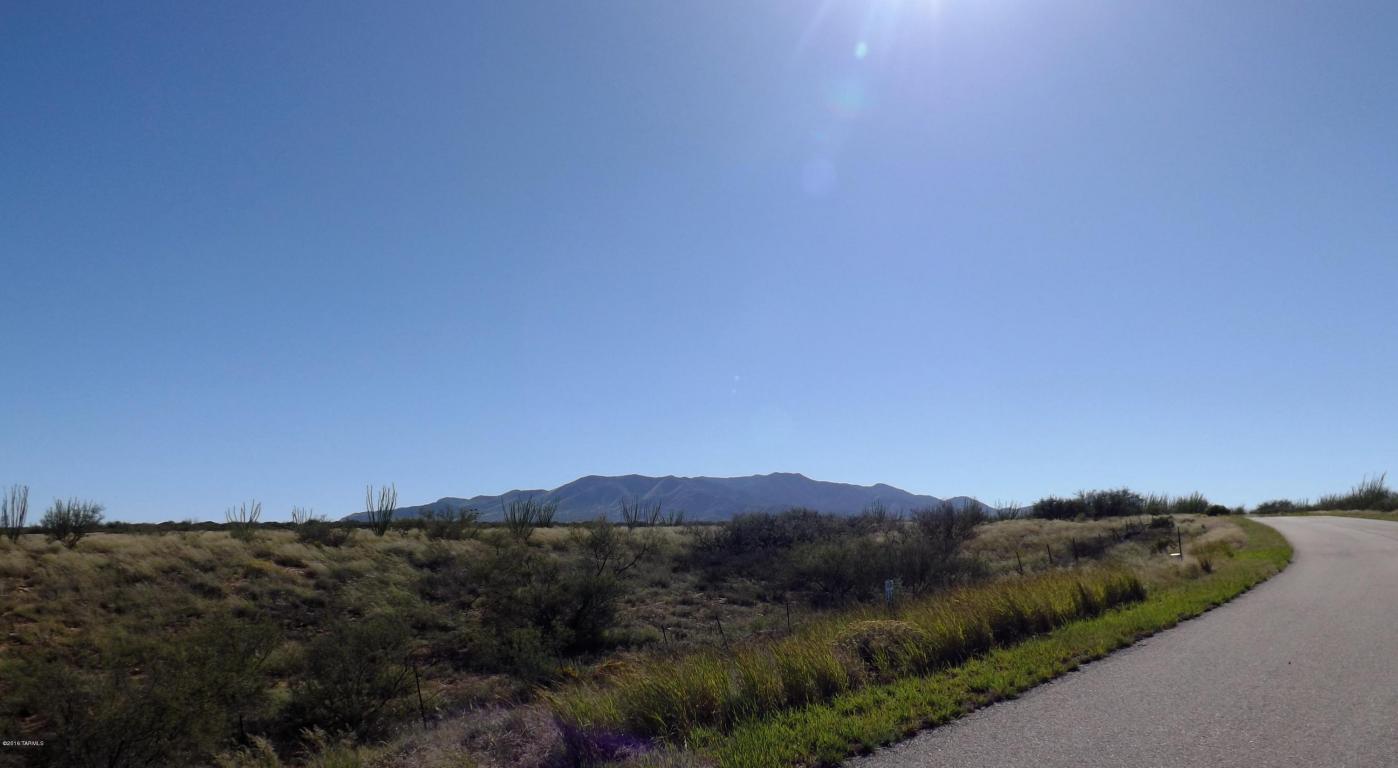 1237 W Scarlet Blossom, Benson, AZ 85602