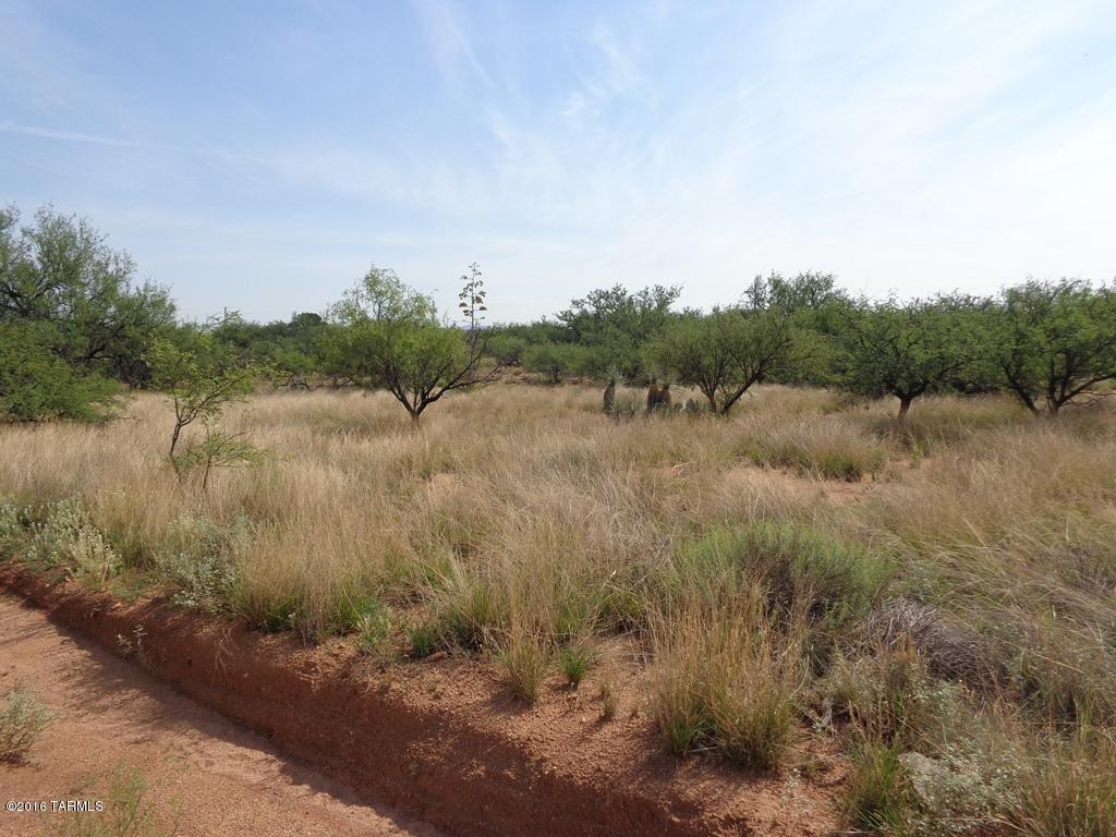 S Palomino, Benson, AZ 85602