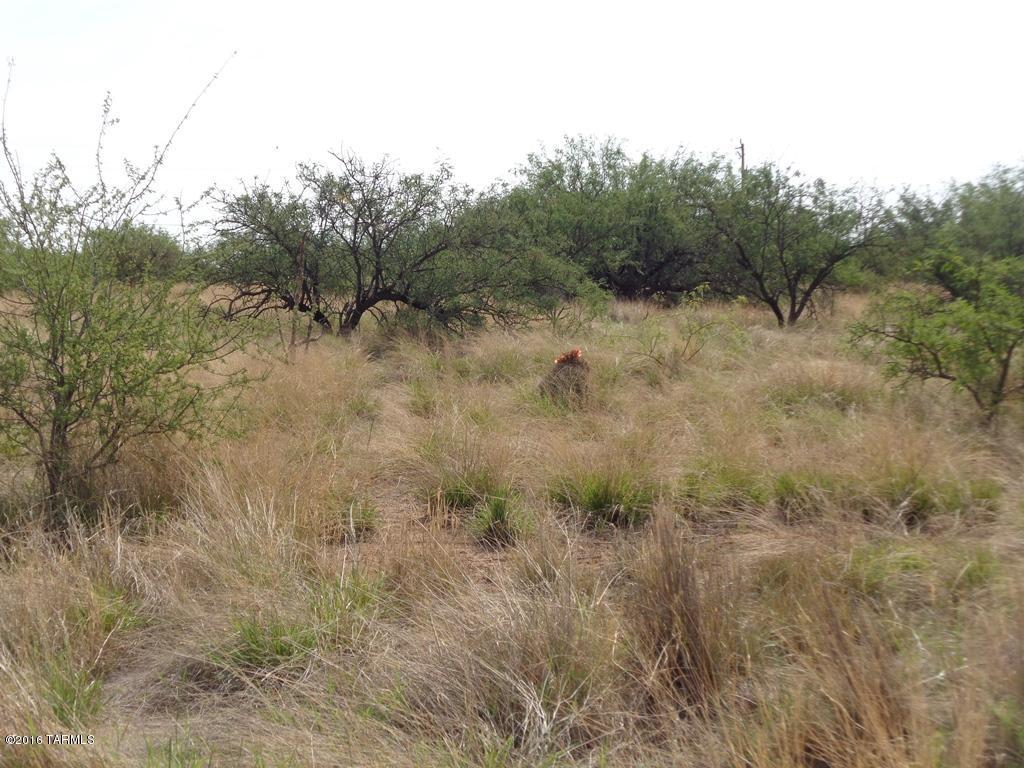 S Palomino, Benson, AZ 85602