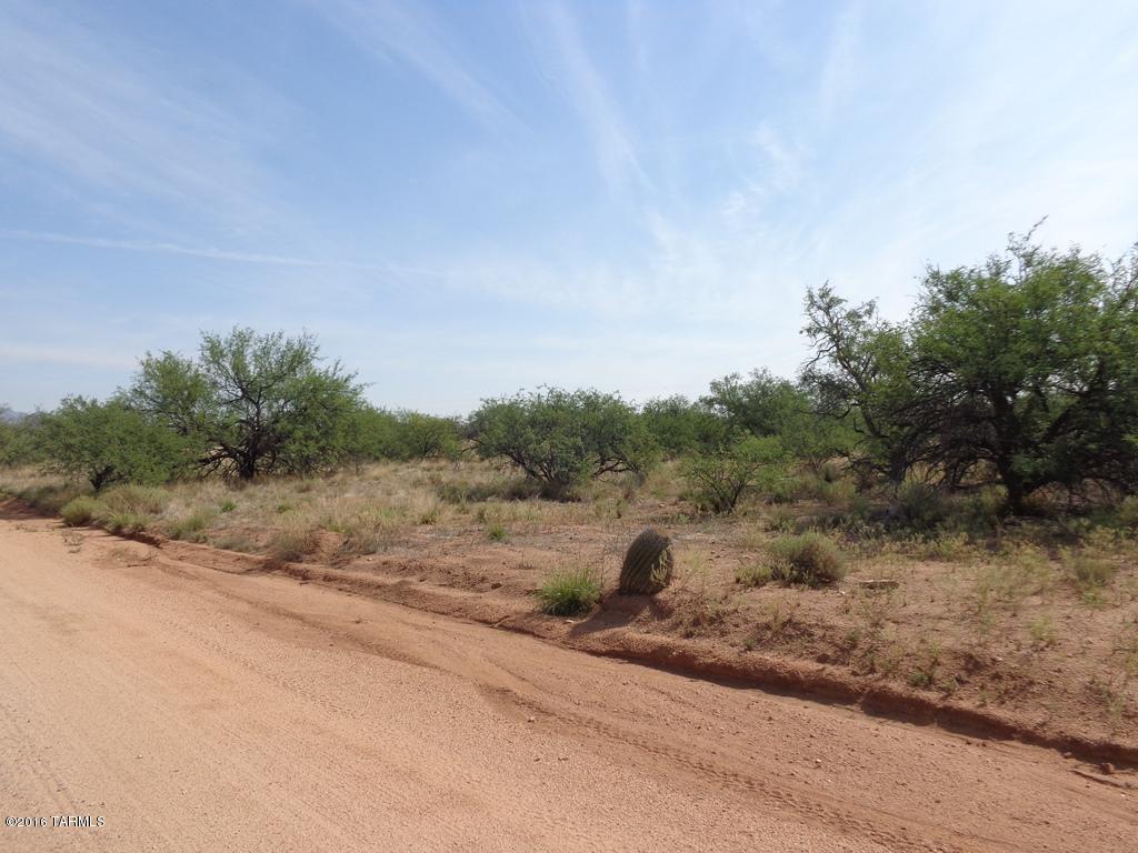 S Palomino, Benson, AZ 85602