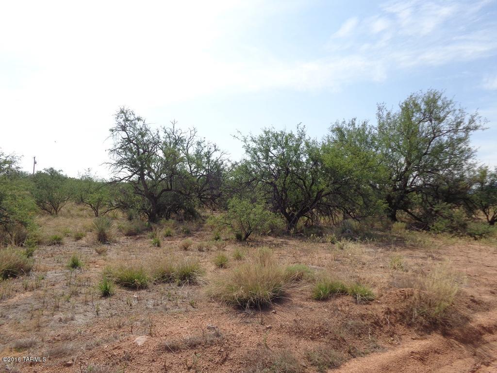 S Palomino, Benson, AZ 85602