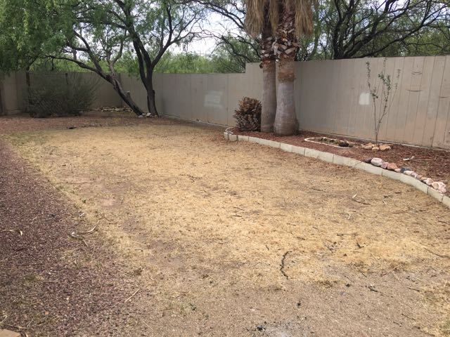 3100 W Verde DrBenson, AZ, 85602Cochise County