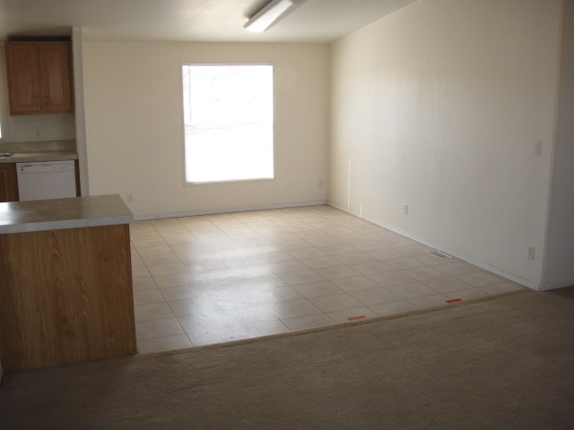 1668 N Silver Spur LnBenson, AZ, 85602Cochise County