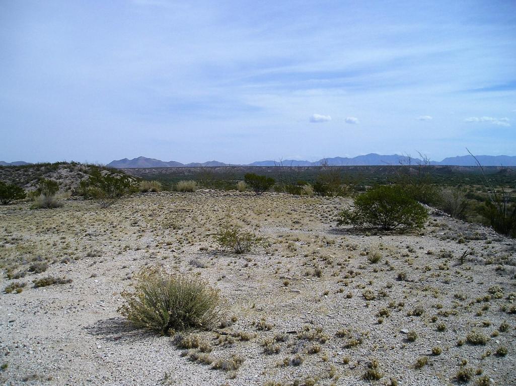 00 N Alvie Lee, Benson, AZ 85602