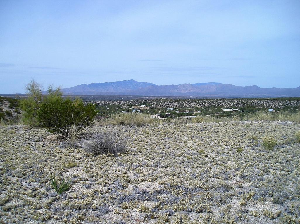 00 N Alvie Lee, Benson, AZ 85602
